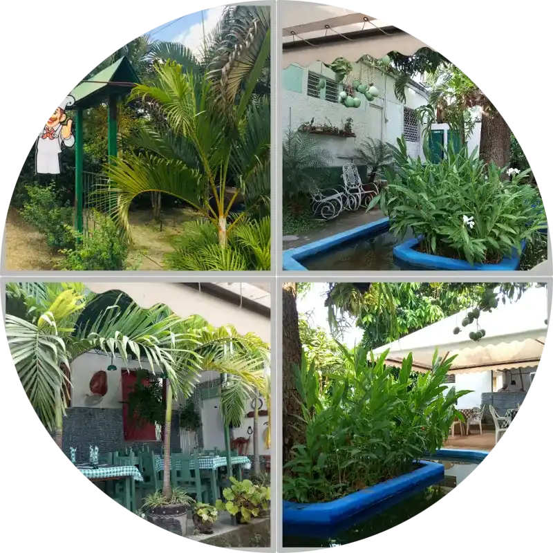 Rancho_Agua_Viva-Delivery.Cu